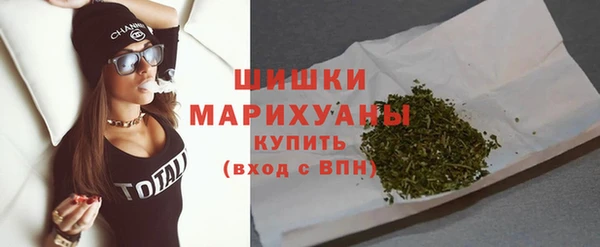 PSILOCYBIN Новозыбков