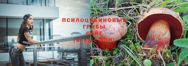 PSILOCYBIN Новозыбков